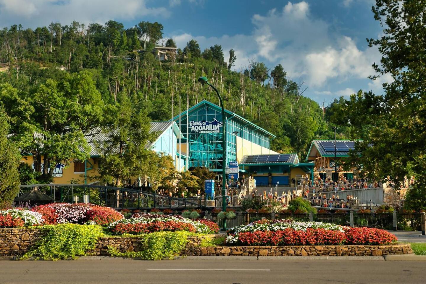 5Br Smoky Cabin Hot Tub, Games, 1 Mi To Parkway Pigeon Forge Esterno foto